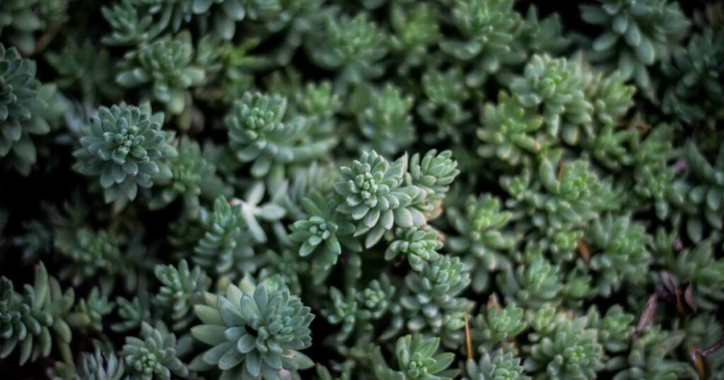 Soledad personas mayores Baix Montseny